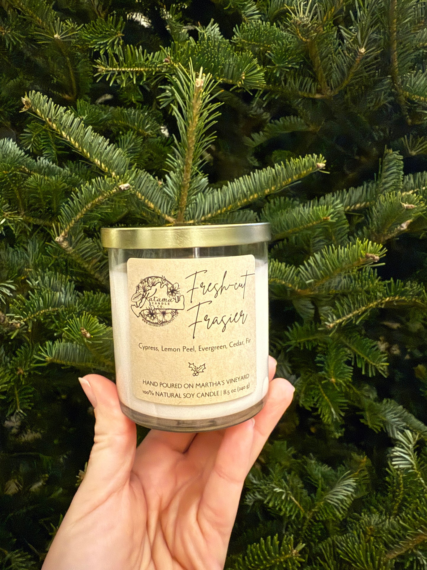 Fresh-cut Frasier Soy Candle (8.5 oz)